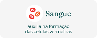 Sangue
